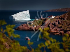 The Narrows, St. John's